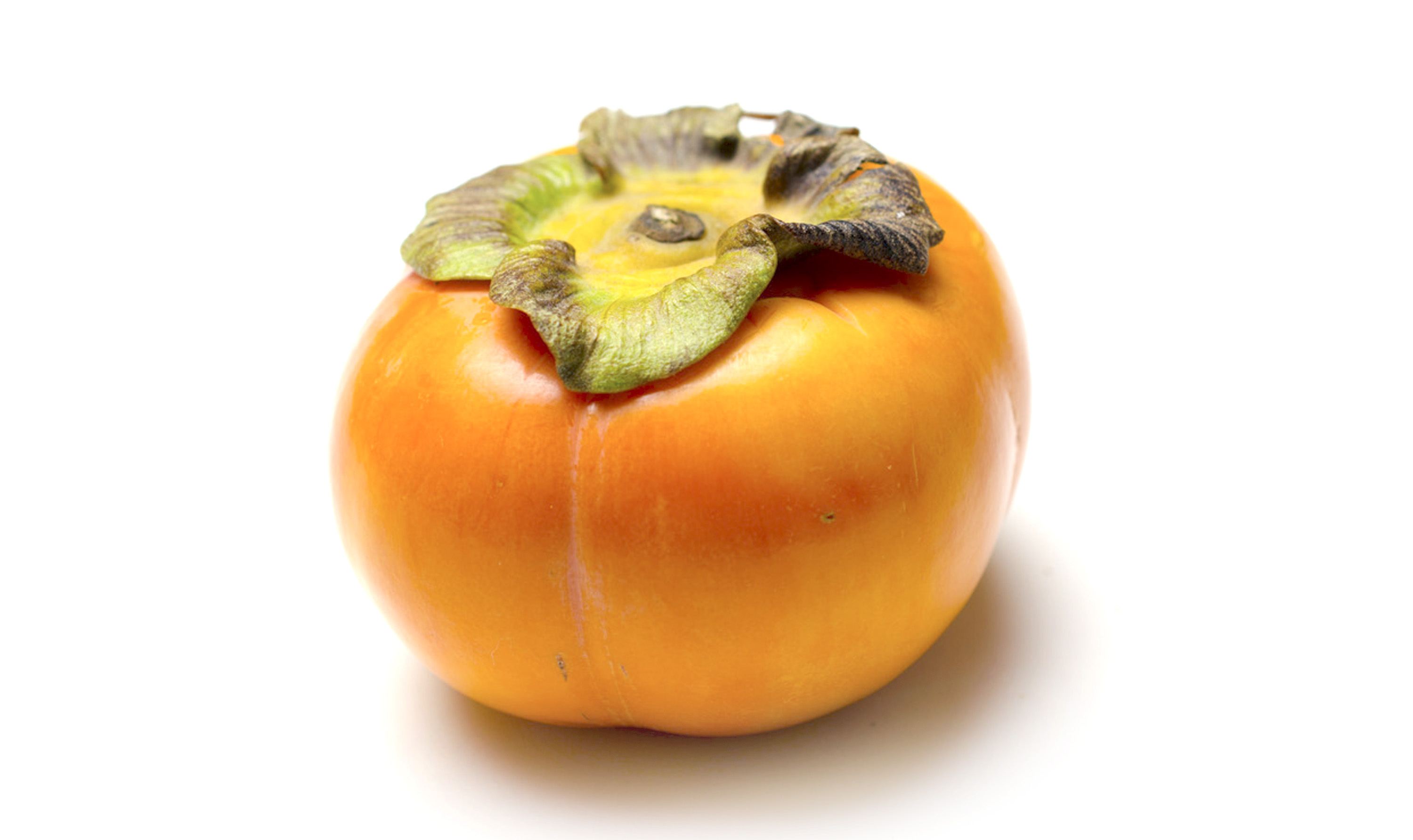 Persimmon Kaki